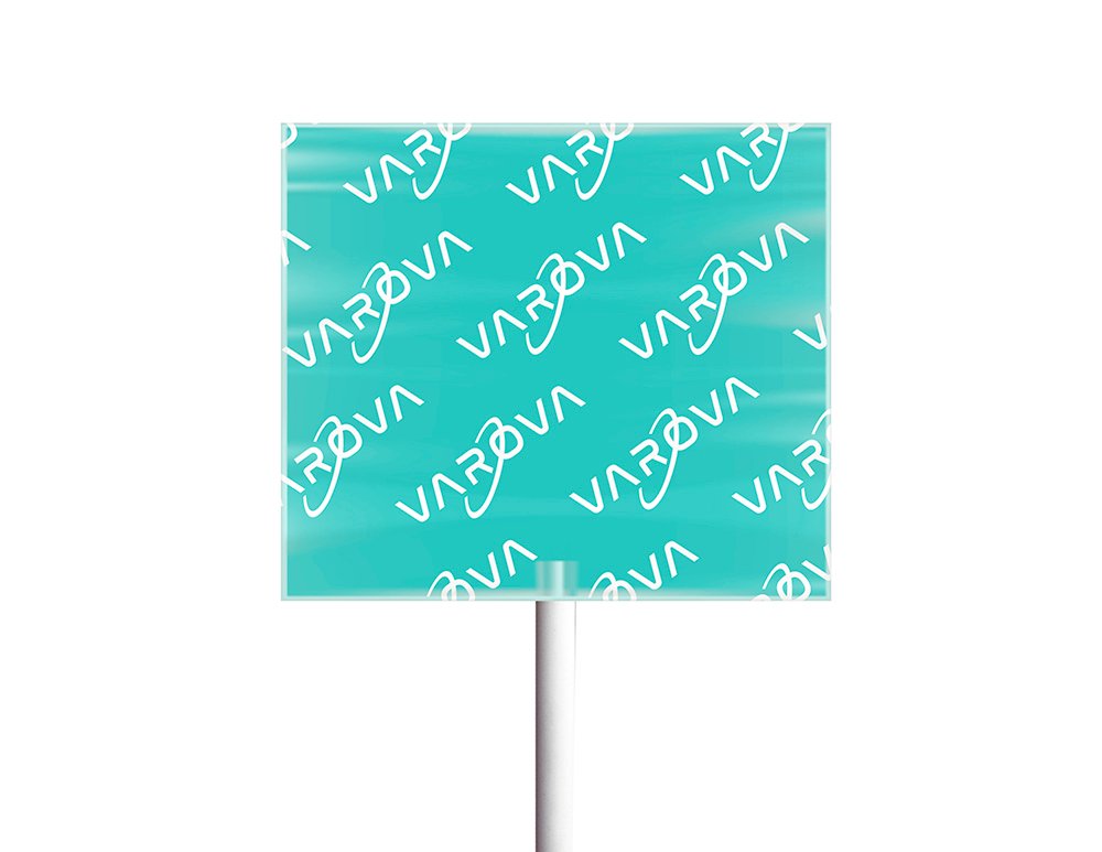 chupetin-plano-personalizado-pina